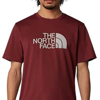 THE NORTH FACE  NTF M SS EASY TEE SUMAC-MOONSTONE GREY