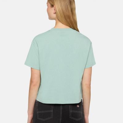 DICKIES OAKPORT BOXY SS TEE ICEBERG GREEN