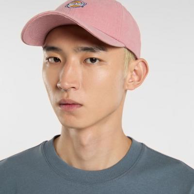 DICKIES HARDWICK DUCK CANVAS CAP LILAS