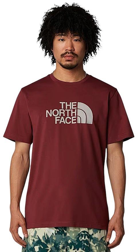 THE NORTH FACE  NTF M SS EASY TEE SUMAC-MOONSTONE GREY