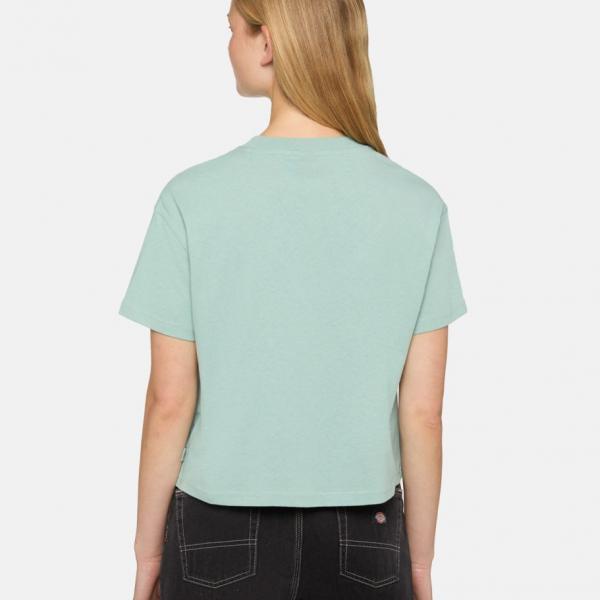 DICKIES OAKPORT BOXY SS TEE ICEBERG GREEN